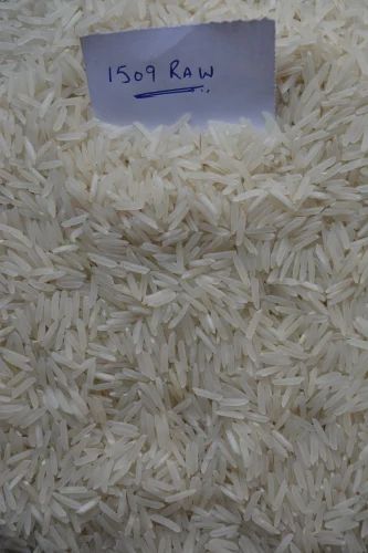 1509 Raw Basmati Rice, 10 Kg