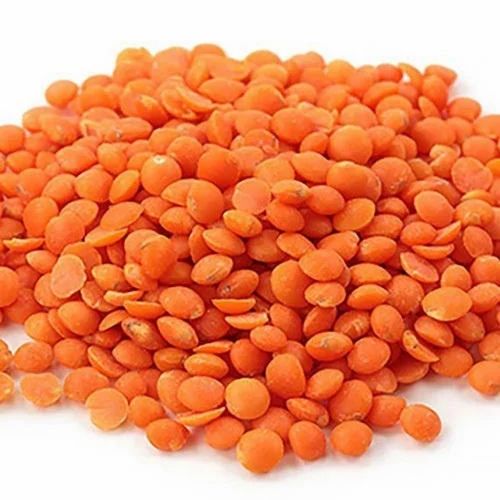 Red Masoor Dal Whole (Sabut) - Medium Grade, Sortex Cleaned (50 kg)