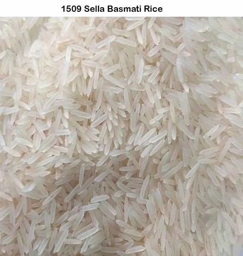 1509 Sella Basmati Rice, 5 Kg