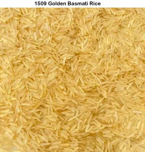 1509 Golden Basmati Rice, 5 Kg