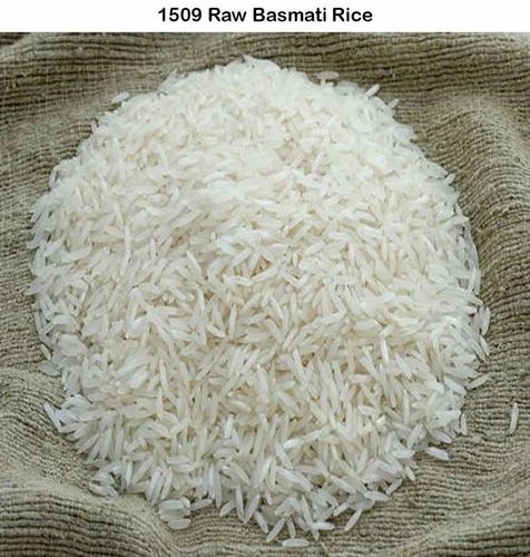 1509 Raw Basmati Rice, 5 Kg