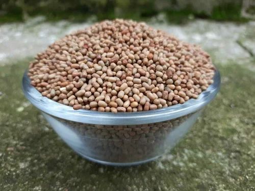 Moth Beans Moth Dal