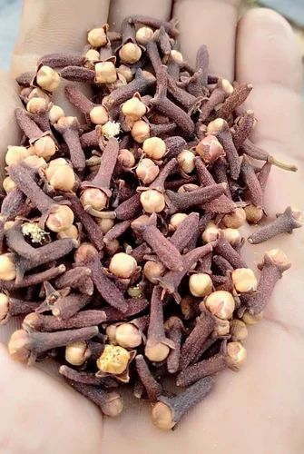 Hand-picked Dry Cloves (Kerala-Kanniyakumari)