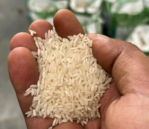 Sona Masoori Raw Rice