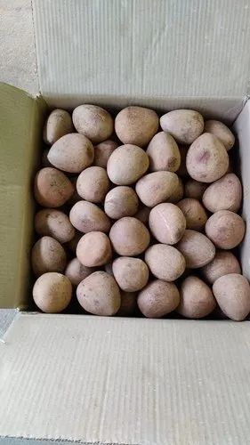 Edible Ball Copra, Packaging Type: Bag & Carton, Packaging Size: 25 kg & 15 kg