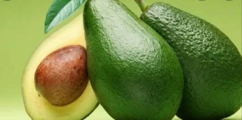 A Grade Fresh Quality Avocado, Packaging Size: 10 Kg