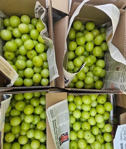 Fresh Green Amla
