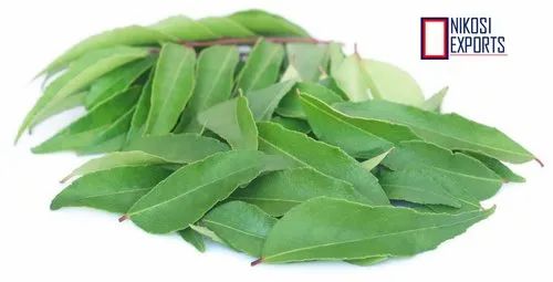 Fresh Green Curry Leaves