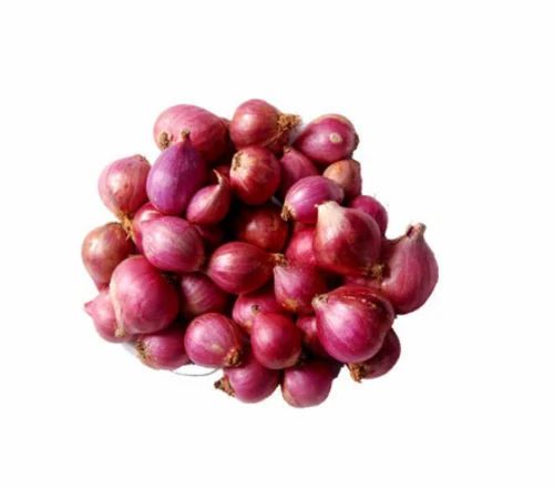 A Grade Gujarat Small Onion