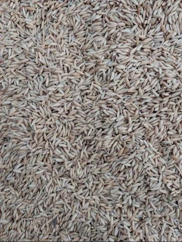 Yellow Rice Paddy, Packaging Type: Sack Bag, Packaging Size: 50Kg