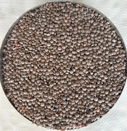 Black Fresh Masoor Dal, Mahadev Overseas