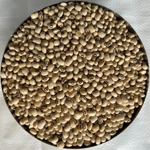 Black Eye Cowpeas Beans, Lobia