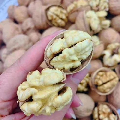 Whole Kashmiri Walnut Kernel