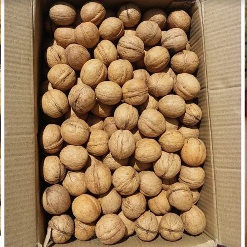 Organic Dry Walnut, Packaging Size: 1 Kilogram