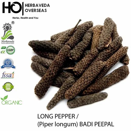 Variety: Piper longum from India Long pepper (Piper longum) BADI PEEPAL, 50 KG