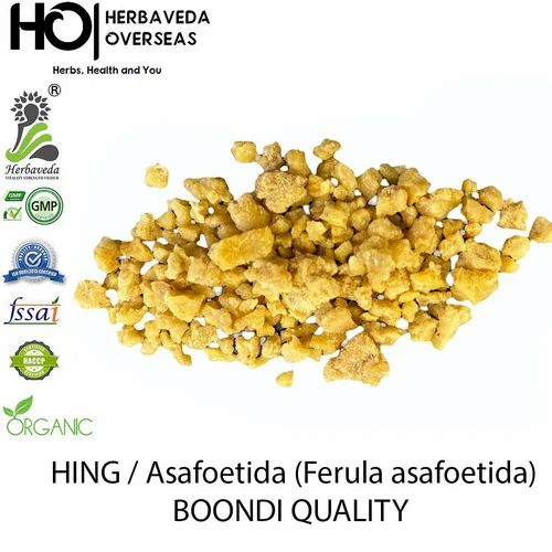 Asafoetida Ferula Asafoetida Hing, Packaging Type: Container