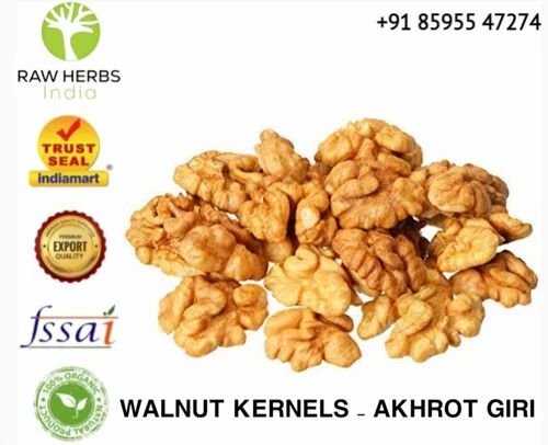 Split WALNUT KERNELS - AKHROT GIIRI