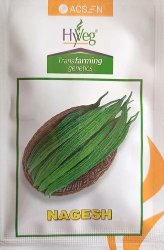 Natural Hyveg Seeds Nagesh, Packaging Type: Packet, 10 gm