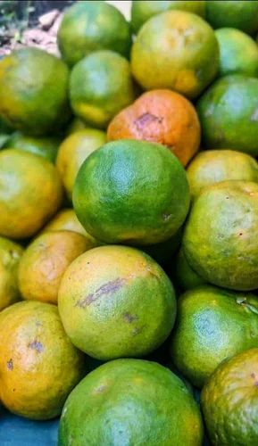 A Grade Assam Fresh Orange Fruit, Packaging Type: Loose