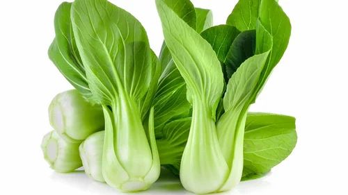 A Grade Green Pak Choi Exotic Vegetable, Packaging Type: Carton, Packaging Size: 20 Kg