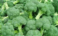 Exotic Vegetables