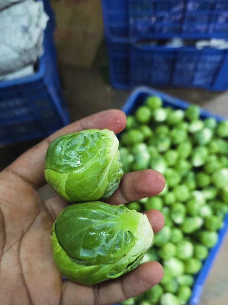 Exotic Vegetables (A Grade, 10 Kg)