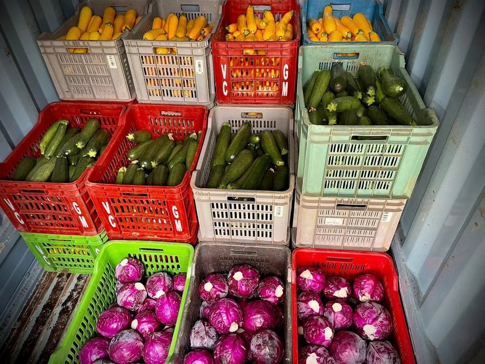 Broccoli Exotic Vegetables, Packaging Size: 10 Kg