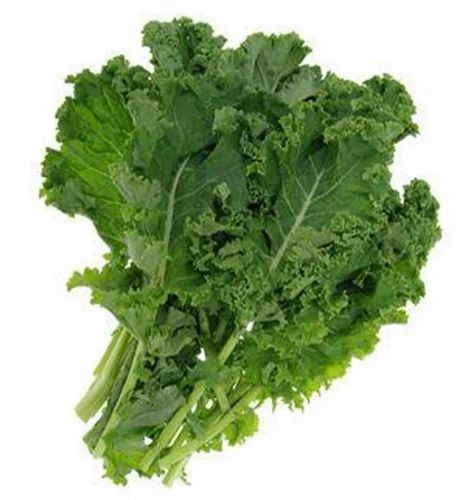 A Grade Green Fresh Kale Exotic Leaf Vegetable, Packaging Type: Loose