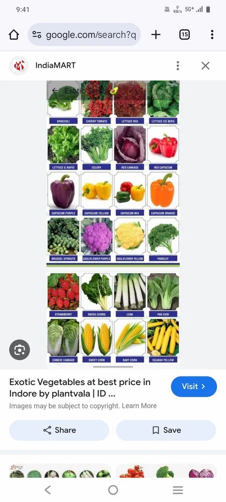 A Grade Exotic Vegetables, Packaging Size: 10 Kg
