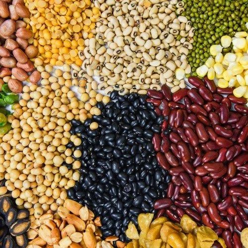 All Beans