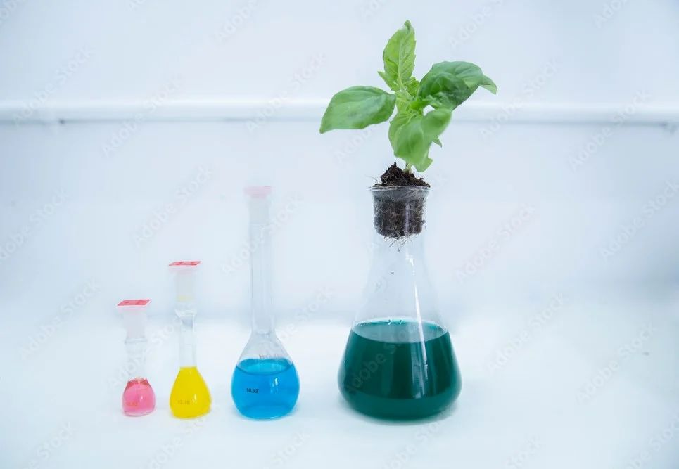 3,5-Di Iodosalicylic Acid