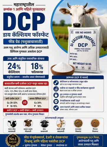 Dicalcium Phosphate Powder