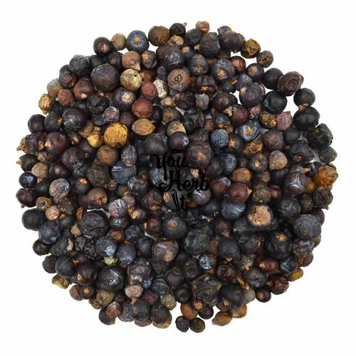 SAI HERBS Juniper Berries - Juniper Berry Fruit - Boosts Immunity - For Blood Sugar