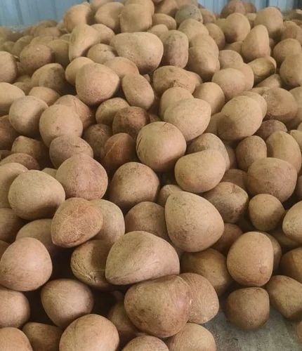 Dry Coconut Copra