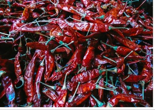 Guntur Dried Chillies & Pepper, PP Bag, 50g