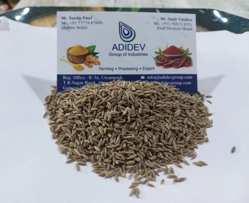 European Quality IPM Cumin Seed, 25 Kg
