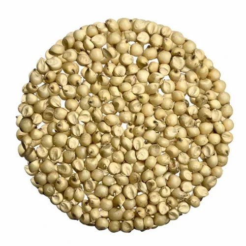 A Grade Organic White Sorghum Millets (Sortex Cleaned Grain) - 25 kg