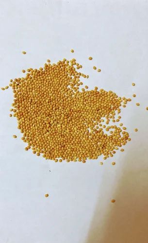 Golden Foxtail Millets Unpolished Naturally Processed, 25, Gluten Free