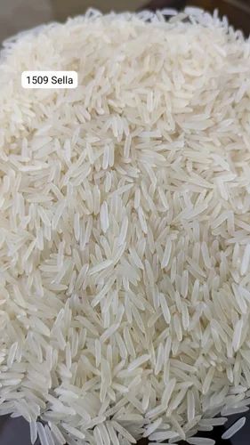 1509 Steam Basmati Rice