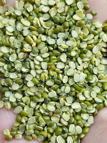 Green Moong Chilka Dal, 30 Kg, Annalaxmi