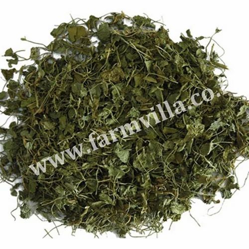 25 Kg Kasuri Methi Leaves