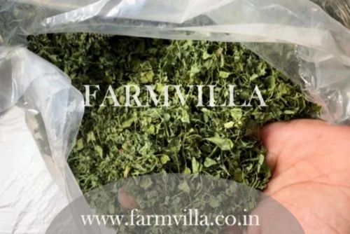 A Grade Green Dried Fenugreek Leaf