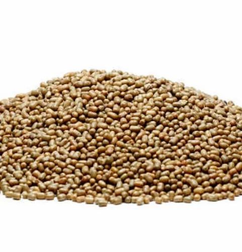 A Grade Organic Moth Bean