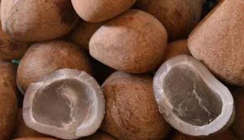 Brown Dried Coconut, Packaging Type: Sacks