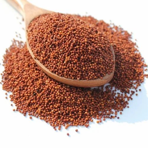 Ragi