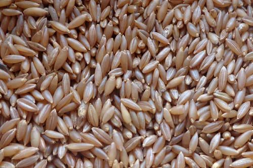 Indian Bamboo Rice Moongil Arisi, Organic