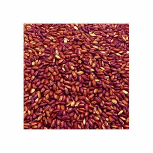 Indian Marudham Kattu Yanam Rice, Organic