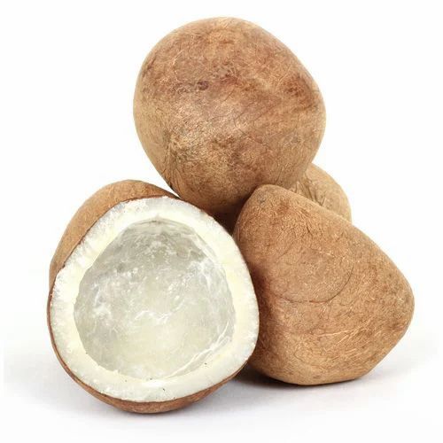 Brown Dry Coconut Copra, Packaging Type: Sacks