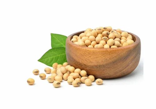 Indian Organic Whole Soybean