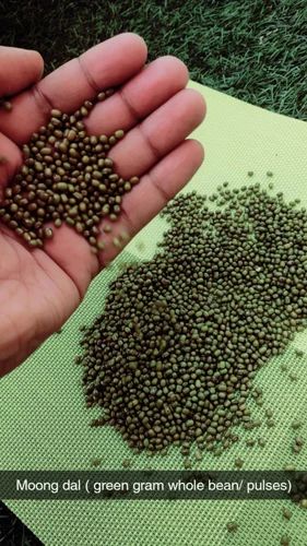 Indian Green Organic Saboot Moong Dal